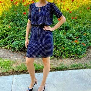 Navy and Tan Polka Dot Dress